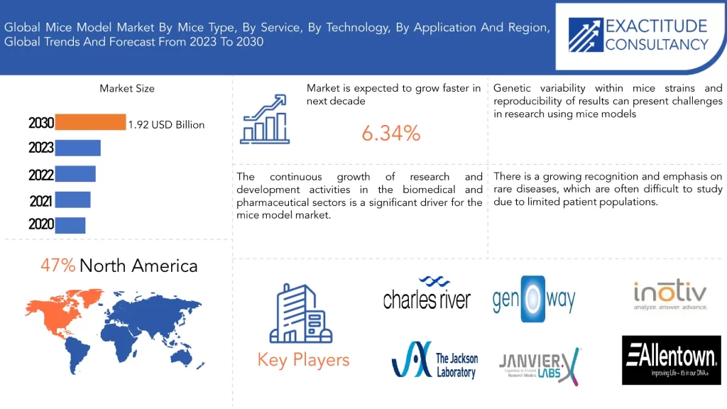 Mice Model Market | Exactitude Consultancy