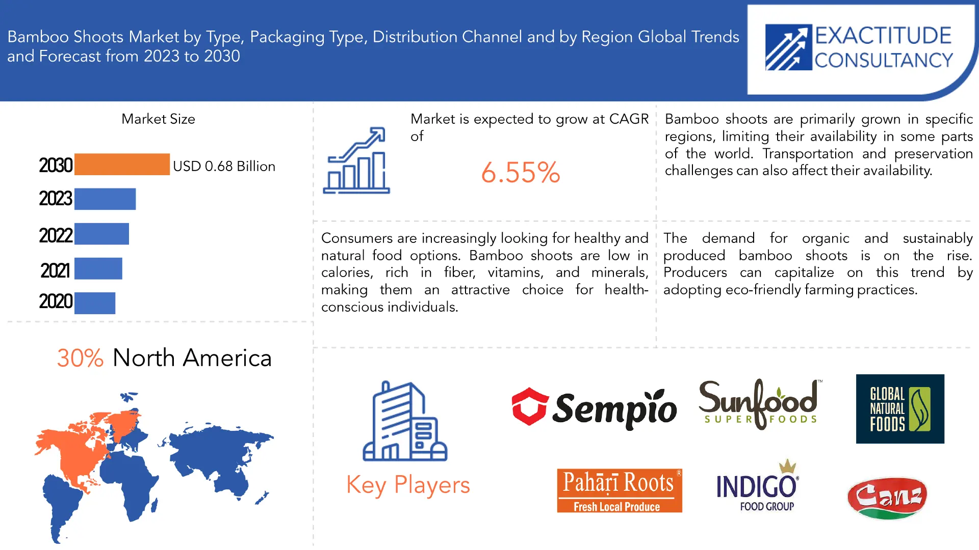 Bamboo shoots Market | Exactitude Consultancy