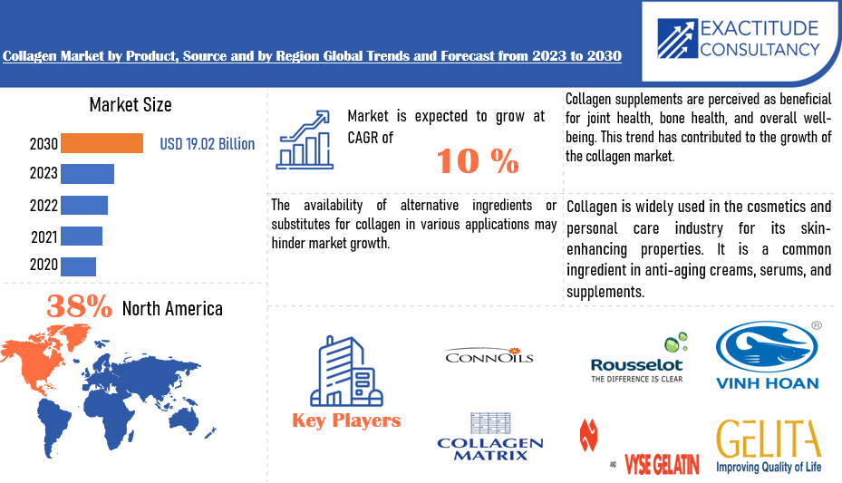 Collagen Market | Exactitude Consultancy