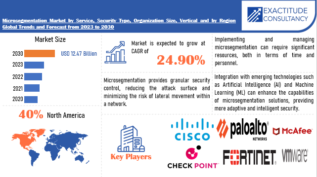 Microsegmentation Market | Exactitude Consultancy