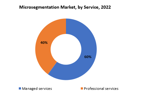 Microsegmentation Market | Exactitude Consultancy