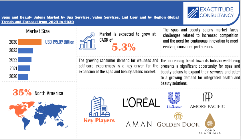 Spas and Beauty Salons Market | Exactitude Consultancy