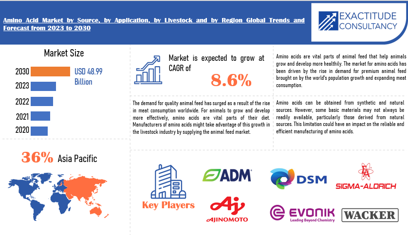 Amino Acids Market | Exactitude Consultancy