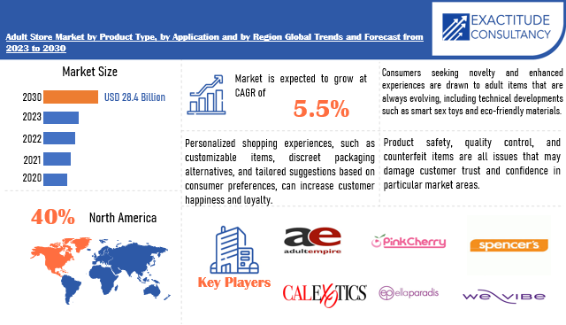 Adult Store Market | Exactitude Consultancy