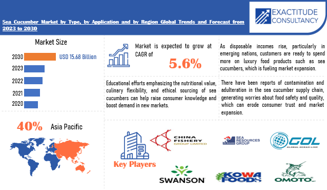 Sea Cucumber Market | Exactitude Consultancy