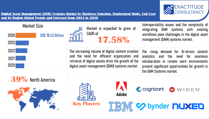 Digital Asset Management (DAM) Systems Market | Exactitude Consultancy