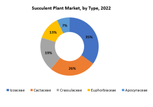 Succulent Plant Market | Exactitude Consultancy