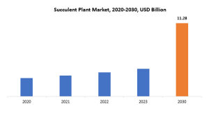 Succulent Plant Market | Exactitude Consultancy