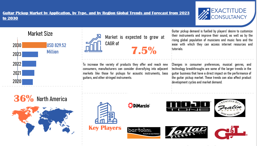 Guitar Pickup Market | Exactitude Consultancy