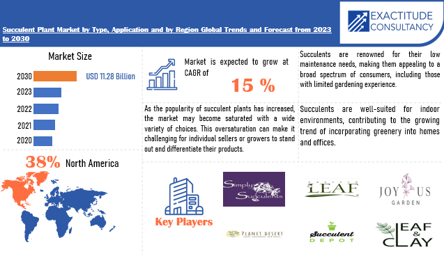 Succulent Plant Market | Exactitude Consultancy