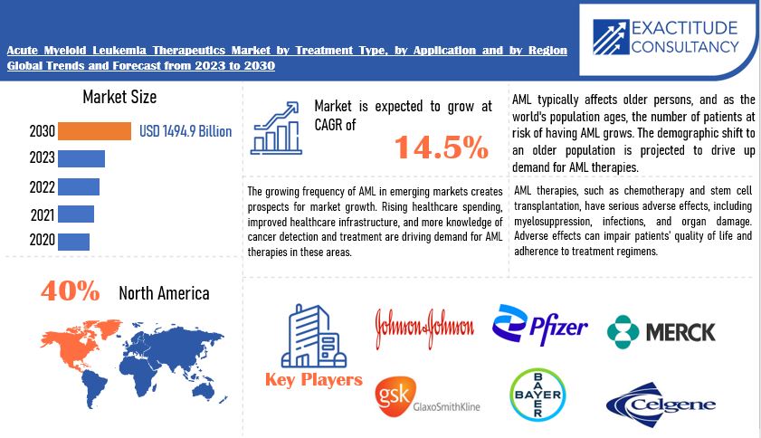 Acute Myeloid Leukemia Therapeutics Market | Exactitude Consultancy