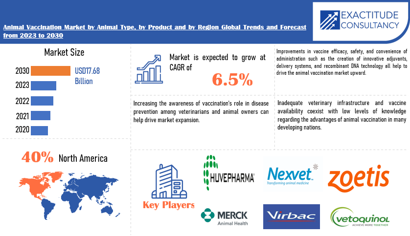 Animal Vaccination Market | Exactitude Consultancy